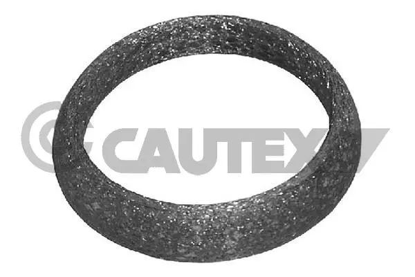 Seal Ring, exhaust pipe (954204)