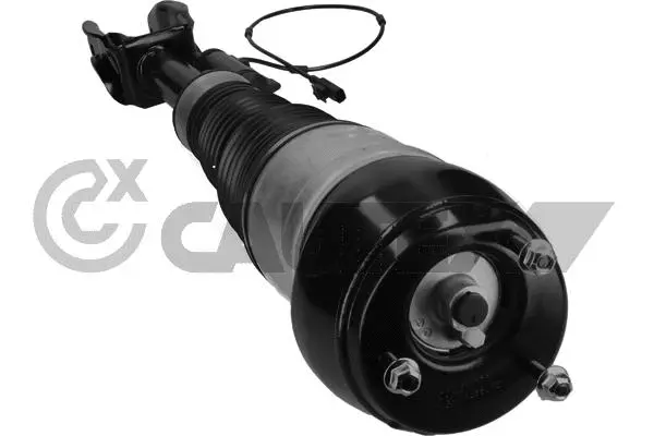 Air Suspension Strut (752024)