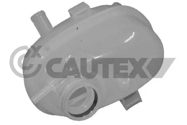 Expansion Tank, coolant (481062)