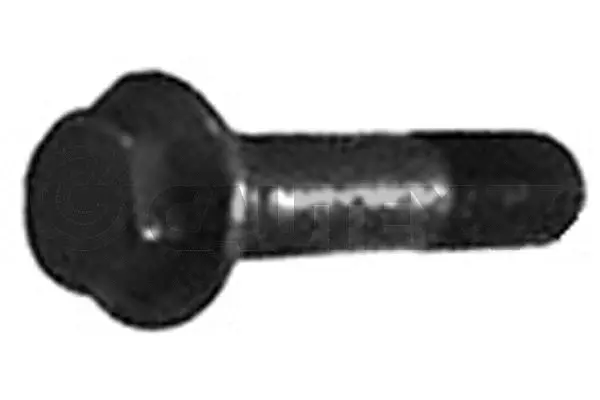 Pulley Bolt (757041)