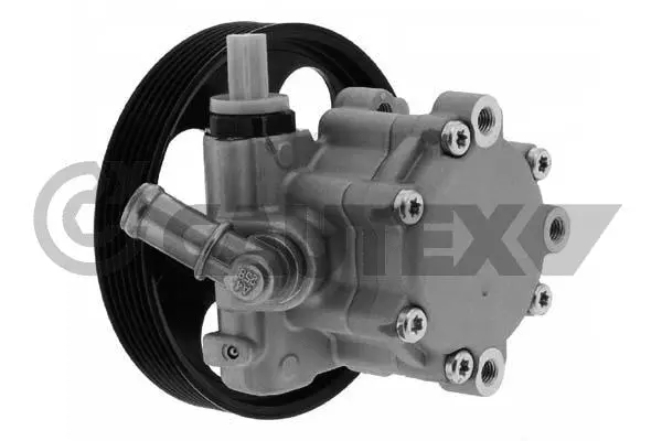 Hydraulic Pump, steering (773806)
