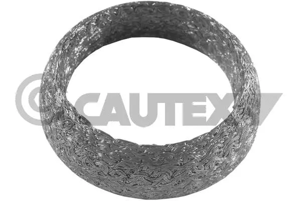 Seal Ring, exhaust pipe (954276)