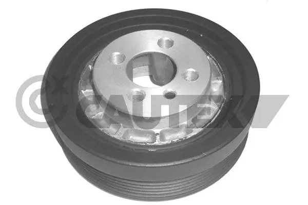 Belt Pulley, crankshaft (010930)