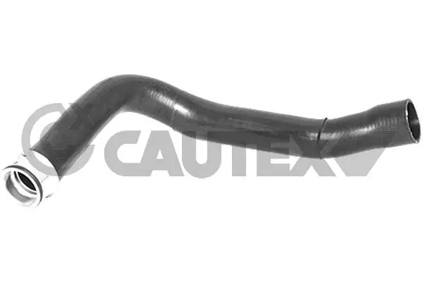 Radiator Hose (757744)