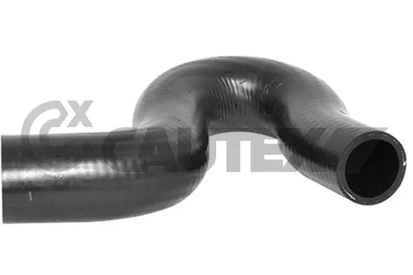 Radiator Hose (036493)