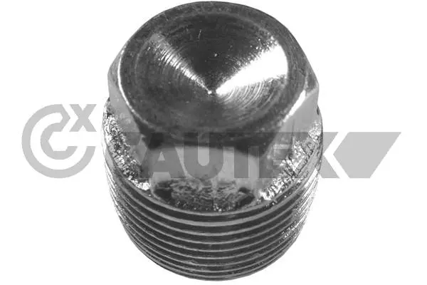 Screw Plug, oil sump (952009)