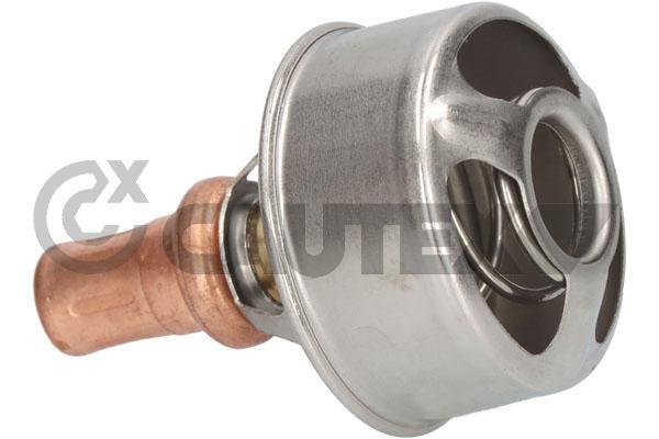 Thermostat, coolant (756905)