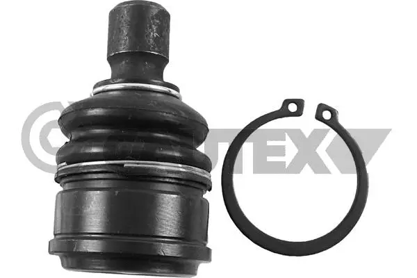 Ball Joint (755064)