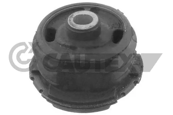 Bushing, axle beam (755702)