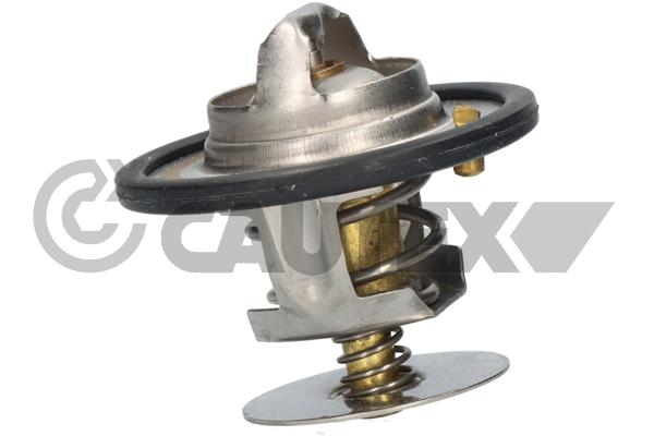 Thermostat, coolant (756891)