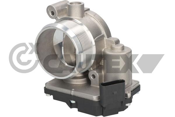 Throttle Body (766802)