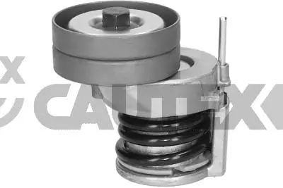 Tensioner Lever, V-ribbed belt (751718)