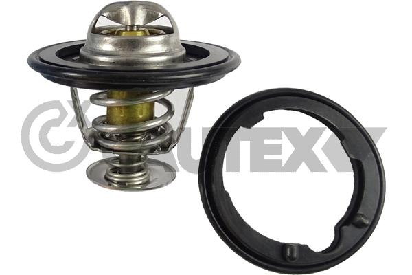 Thermostat, coolant (770472)