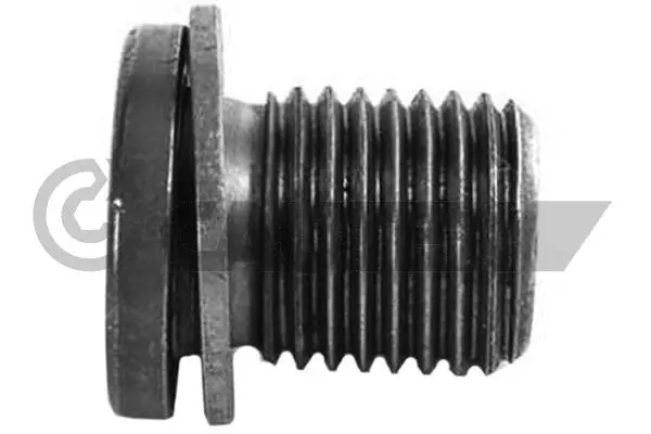 Screw Plug, oil sump (756789)