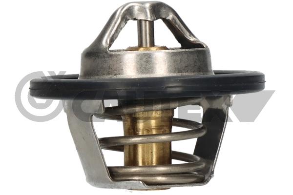 Thermostat, coolant (756871)