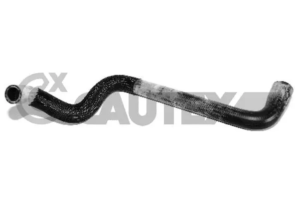 Radiator Hose (753549)