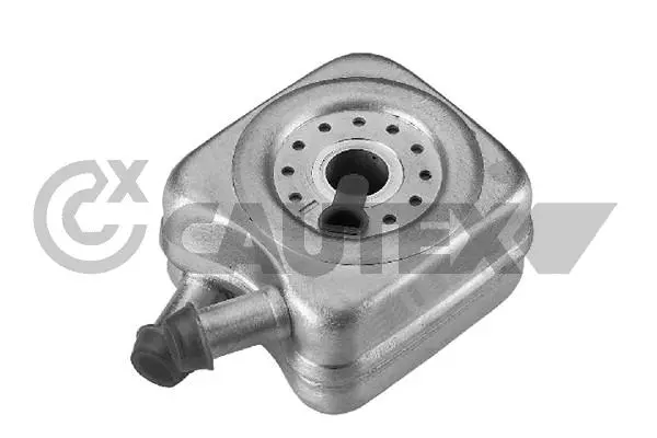 Oil Cooler, engine oil (462419)