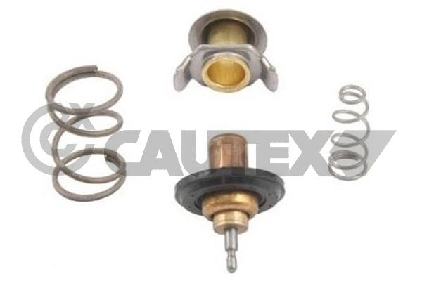 Thermostat, coolant (758398)
