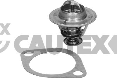 Thermostat, coolant (775418)