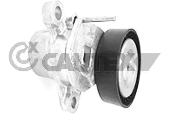 Tensioner Lever, V-ribbed belt (751840)