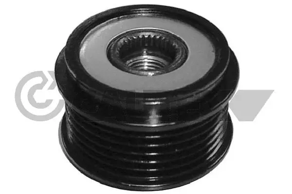 Alternator Freewheel Clutch (460977)
