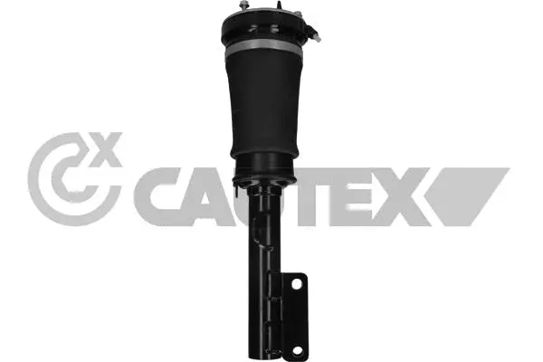 Air Suspension Strut (751960)