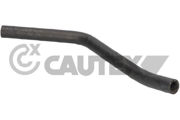 Hose, cylinder head cover ventilation (461254)