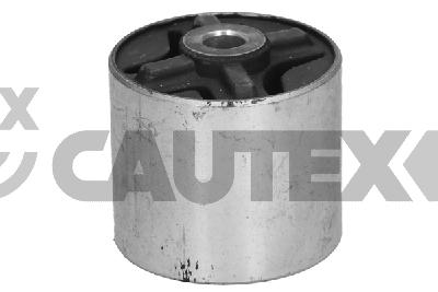 Bushing, axle beam (061012)