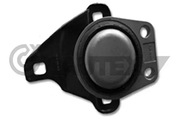 Mounting, engine (081010)