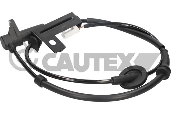 Sensor, wheel speed (769383)