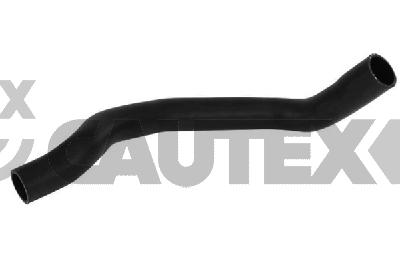 Radiator Hose (775942)