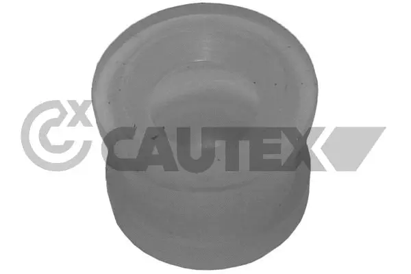 Bushing, selector/shift rod (751056)