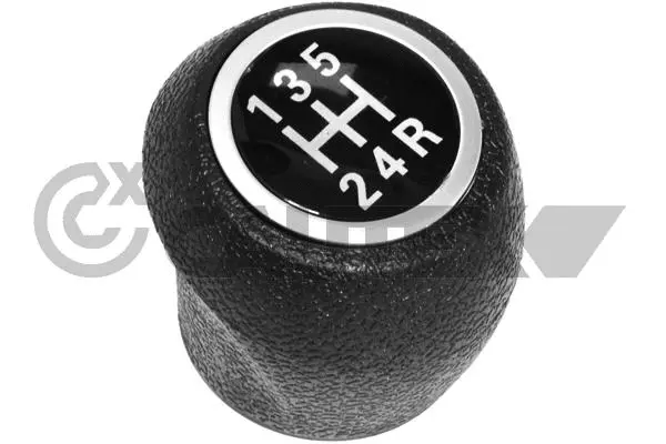 Gear Shift Lever Knob (770549)