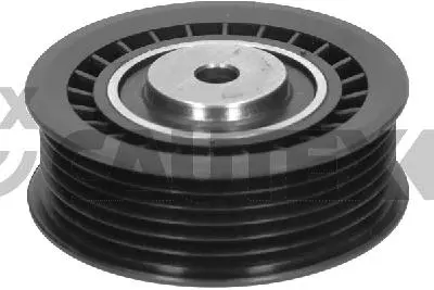 Deflection/Guide Pulley, V-ribbed belt (772445)