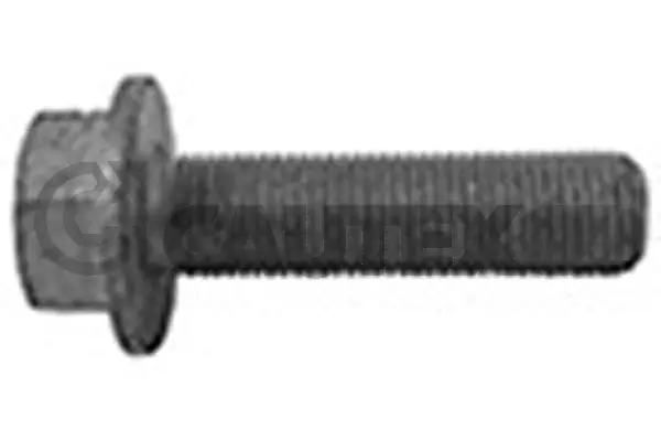 Pulley Bolt (757047)