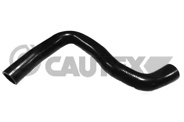 Radiator Hose (753656)