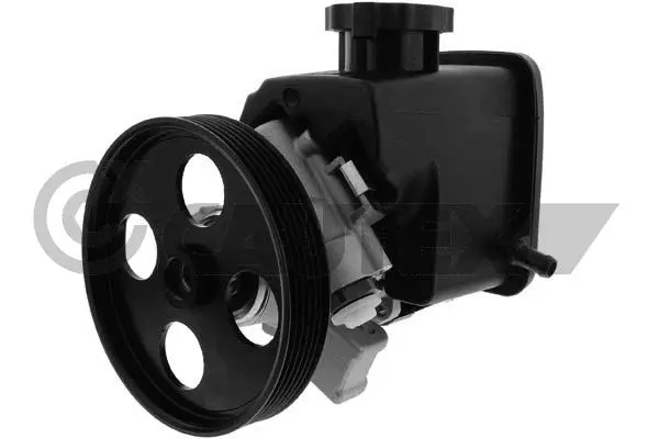 Hydraulic Pump, steering (768491)