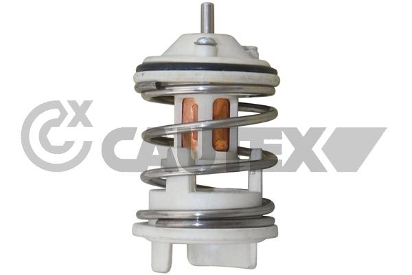 Thermostat, coolant (756852)