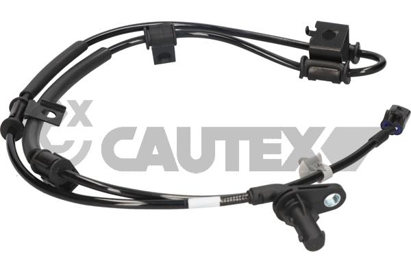 Sensor, wheel speed (769377)