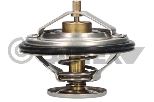 Thermostat, coolant (756873)