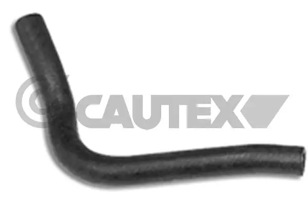 Radiator Hose (036452)