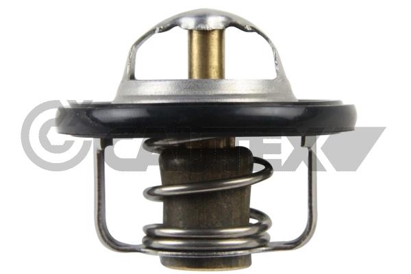 Thermostat, coolant (772124)