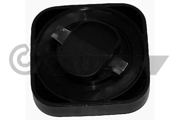 Sealing Cap, oil filler neck (200947)