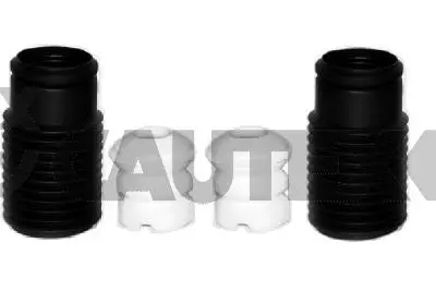 Dust Cover Kit, shock absorber (770511)