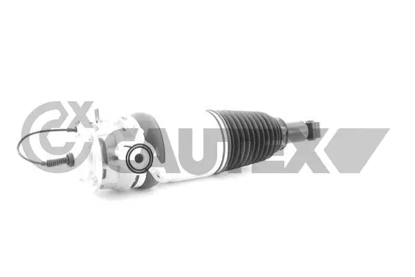 Air Suspension Strut (752124)