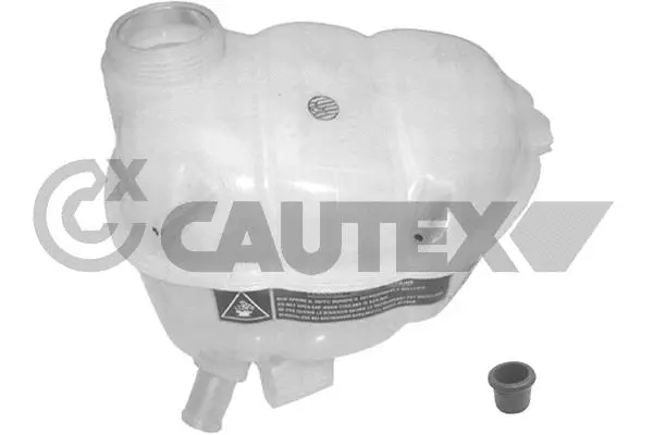 Expansion Tank, coolant (481073)