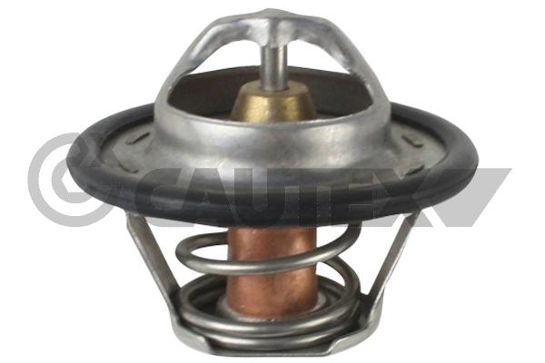 Thermostat, coolant (772147)