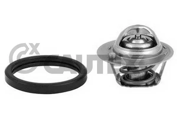 Thermostat, coolant (772158)