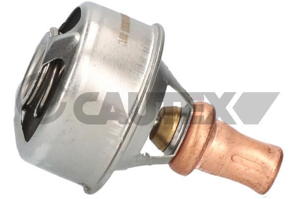 Thermostat, coolant (756903)