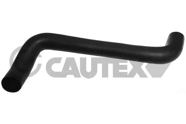 Charge Air Hose (481129)
